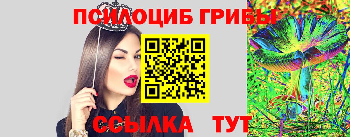 Псилоцибиновые грибы прущие грибы Надым